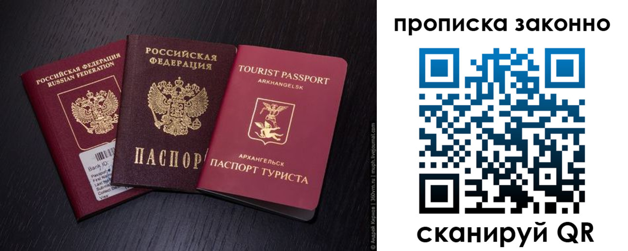 прописка штамп в Елизово